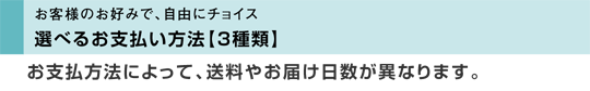 選べるお支払い方法は3種類