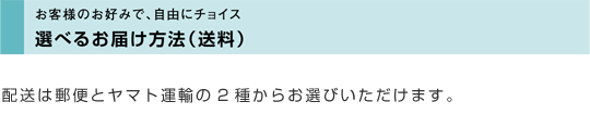 選べるお届け方法（送料）