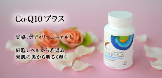 コキューテンプラス