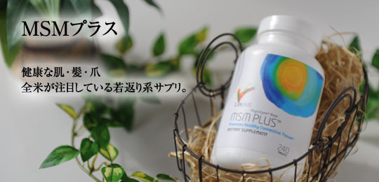 エムエスエムプラス