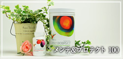 プログラムAプラス