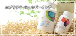 プログラムB