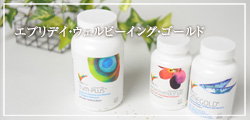 プログラムBゴールド