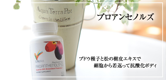 プロアンセノルズ50mg　60つぶ