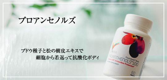 プロアンセノルズ100mg