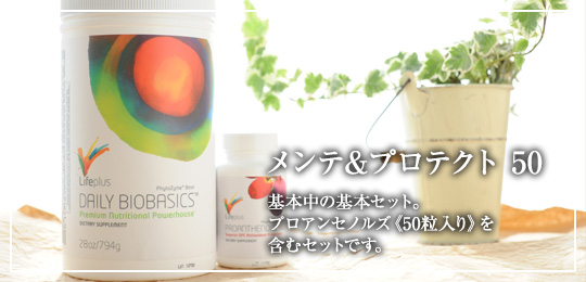 プログラムA