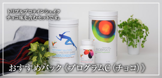 プログラムCチョコレート