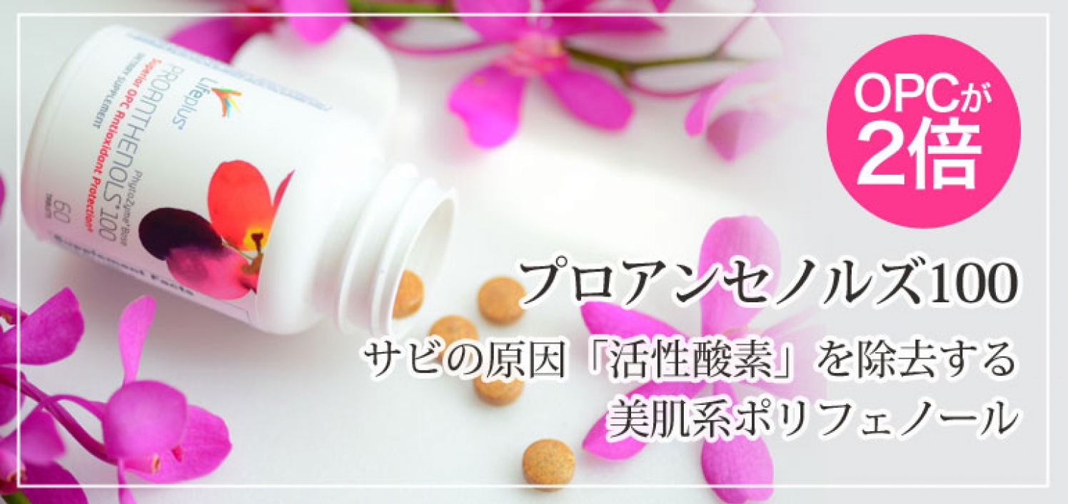 品質検査済 ライフプラス社 プロアンセノルズ100mg 2本セット 健康用品